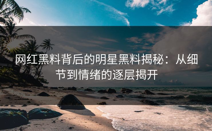 网红黑料背后的明星黑料揭秘：从细节到情绪的逐层揭开