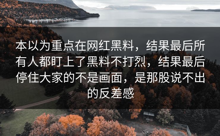 本以为重点在网红黑料,结果最后所有人都盯上了黑料不打烈,结果最后停住大家的不是画面,是那股说不出的反差感 本以为重点在网红黑料,结果最后所有人都盯上了黑料不打烈,结果最后停住大家的不是画面,是那股说不出的反差感