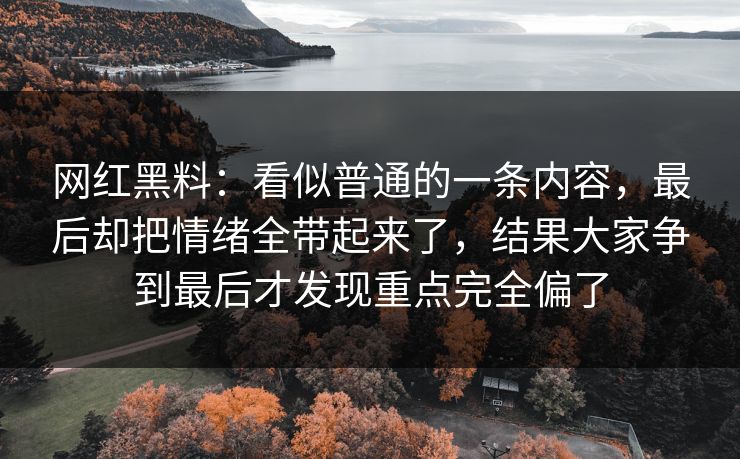 网红黑料：看似普通的一条内容，最后却把情绪全带起来了，结果大家争到最后才发现重点完全偏了